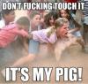 funny-picture-my-pig1_t1.jpg