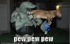 funny-pictures-halo-dog-pew1_t1.jpg